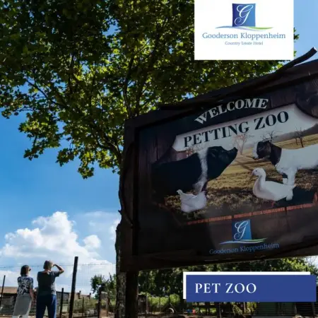 KLOPPENHEIM.CO.ZA
Pet Zoo
Book Now
 