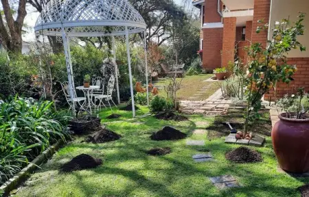 Organic Garden Mix Compost - ZAR45.00

Organic Compost Available in 25 KG bags. F