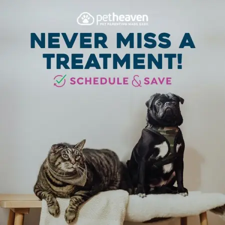 PETHEAVEN.CO.ZA
SAVE UP TO 10
Shop Now
 
