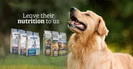 Leave their nutrition to us  enjoy more time with your legend 

JOCKDogFo