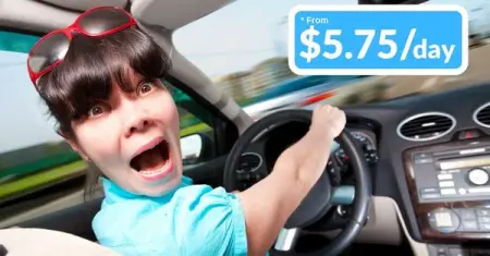 Apalachicola  Car Rentals from 5.75day!
Youll be Screaming with Excitment wh