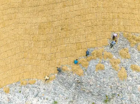 The wisdom and sweat of Xuan paper craftsmen condensed into sheets of white 