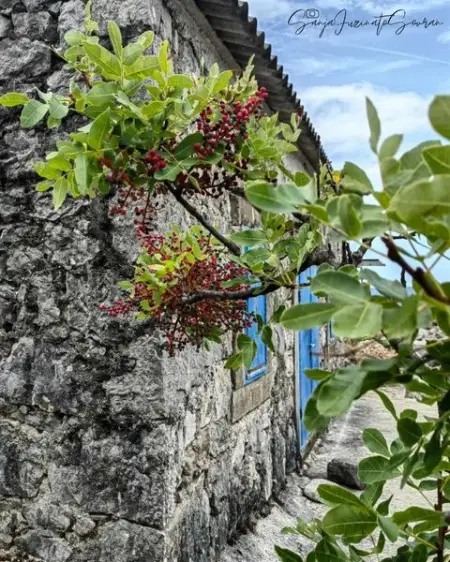 Spisak mojih snova je dugaak, al na prvom mestu... kamenakuasatirkiznimkurama 
.
.
.