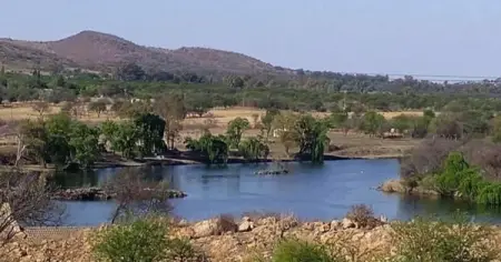 -Buy property to maintain,
manage and rent out with the
stokvel members taking a share
of re