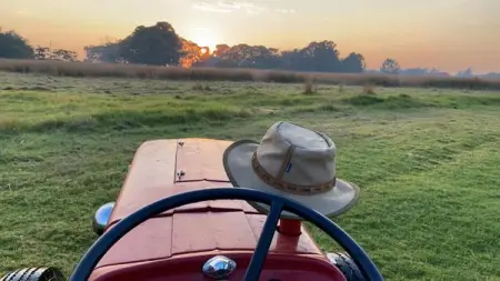 Grass cutting and plant hire mini plant 
We cut all types of grass, from golf course finis