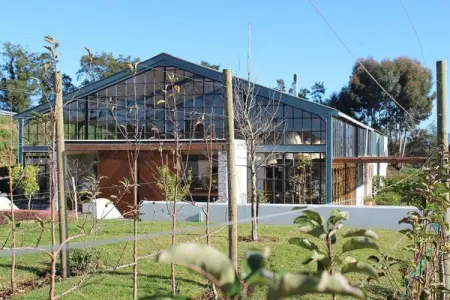 The Spring sunshine lights up our Shed windows so beautifully, and does a fan