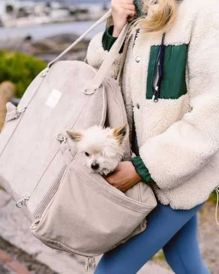 Fur-iends through thick and thin. 
To ensure that your pup feels safe and sec