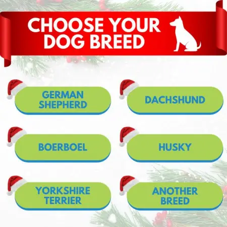 Dog owners are saving big on pet insurance before heading into 2022. Choose 