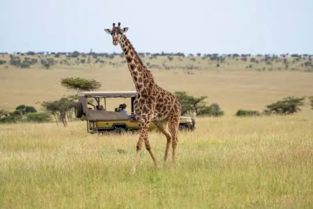 KEMPINSKI.COM
Book Direct  Save
Exclusive Offers
Book Now
Exclusive Offers