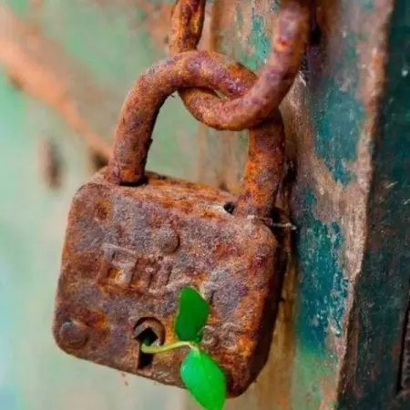 Maama Daniels herbalist and traditional Doctor helping with different l