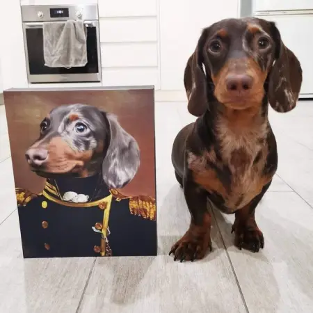 Proudly South African  artists turning your pet into a MASTERPIECE with these adorable
