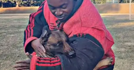 Protection dogs available. Protection dog training. Check us out on YouTube!
Our Prote