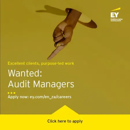 Were change agents and cyber gurus. Performance improvers and problem solv