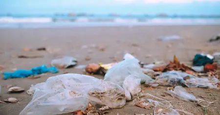 This Saturday is International Coastal Cleanup Day  a good reminder to ge