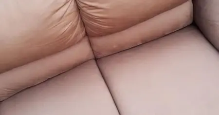 Industrial  cleaning of carpets and upholstery
Commercial  cleaning of Car