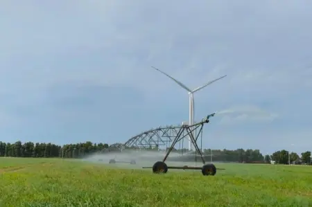 The protection and restoration project of Horqin undertaken by CFHEC has plante