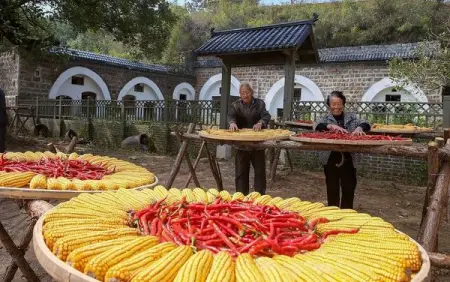 Discover the real China!
Discover China
MediaNews Company
12,345,516 people like