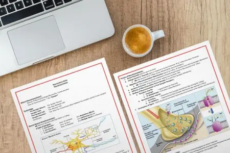 MEDSTUDENTNOTES.COM
Notes On All Medical Topics
Shop Now
 