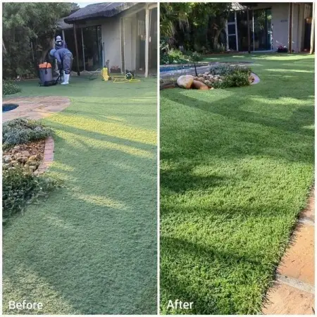 API.WHATSAPP.COM
Grass Fairy
Send WhatsApp Message
 