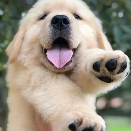 Hello !!! 
Amos Emard
Doctor
11,477 people like this
Like Page