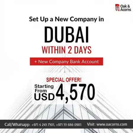Within 2 days, we set up your new company or branch of your company in Dubai or a