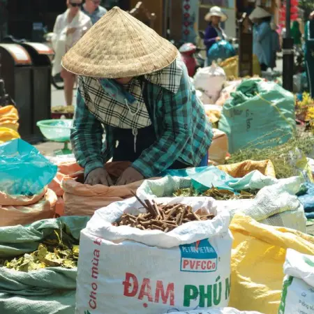 SOAS.AC.UK
MSc Public Policy, Finance and Management
Learn More
 