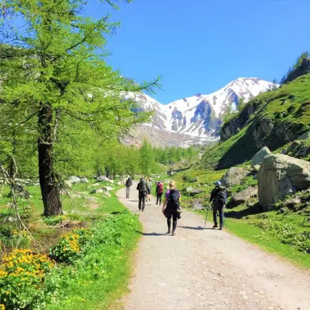 Fancy an epic trip?

Join this 4-day trek around Mont Blanc, crossing into France, I