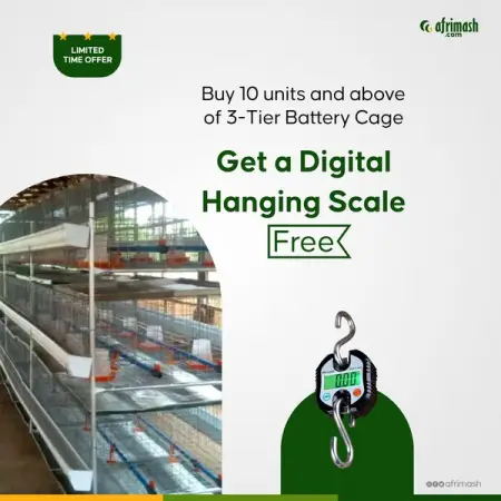 AFRIMASH.COM
12 months warranty after installation
For clean and convenient broodi