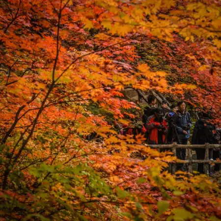 Here you can see photos and videos of natural scenery, folk culture, travel