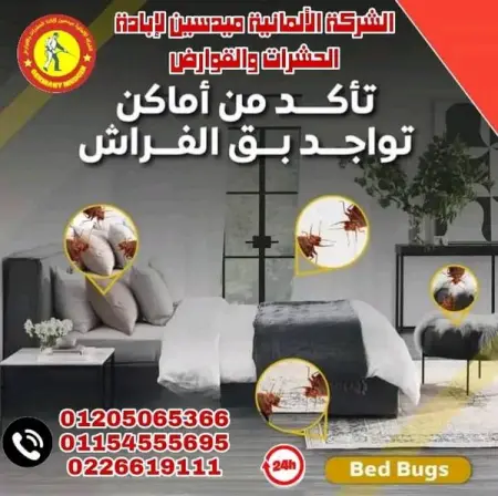 API.WHATSAPP.COM
   
Send Message
 