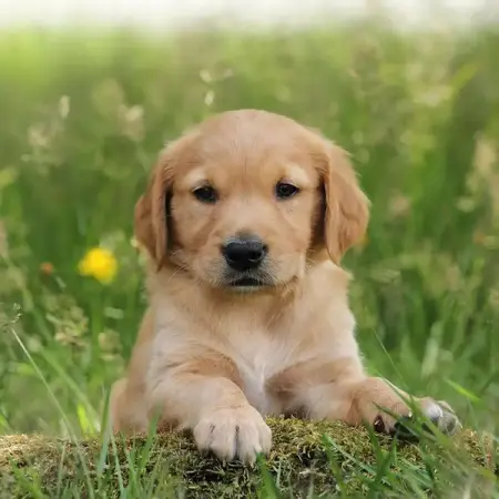 Hi 
Saving Analyst
Financial Service
2,412 people like this
Like Page