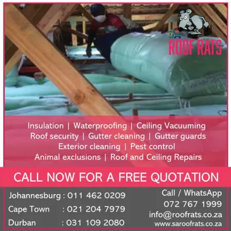 Clean and insulated ceilings are vital to general hygiene and temperatur