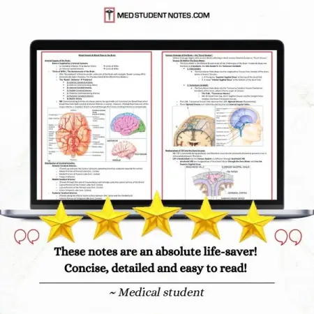 MEDSTUDENTNOTES.COM
...An Absolute Life-Saver
Medical Study Notes
Shop Now
