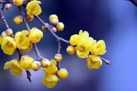 HYJ 5TR
ProductService
2 people like this
Like Page