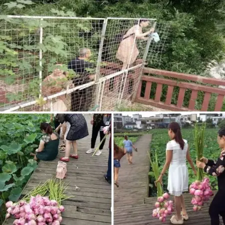 Visiting a new country means having to learn all sorts of new things. The