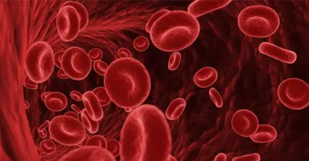 Our Chief Editors have selected the most exciting and impactful research published in 2021 i