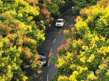 Why not take a tour to a refreshing place?
Wish you a lovely day from Zhejiang.
Zh