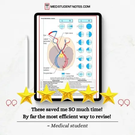 MEDSTUDENTNOTES.COM
Most Efficient Way To Revise
Streamline Your Study
Shop 