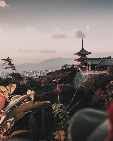 DO YOU TRAVEL? Whats your favorite place in the world?
TINYURL.COM
Jhon Bauwens
Sub