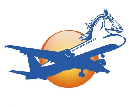 Billetterie arienne
Assurance voyages
Transferts dargent
Colis  Courri