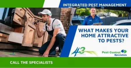 What Makes Your Home Attractive to Pests?
Moisture and warmth
Moisture as a res