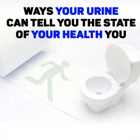 15 Ways The Urine Can Tell Ones State of Health Nobody Probably Ever Knew
