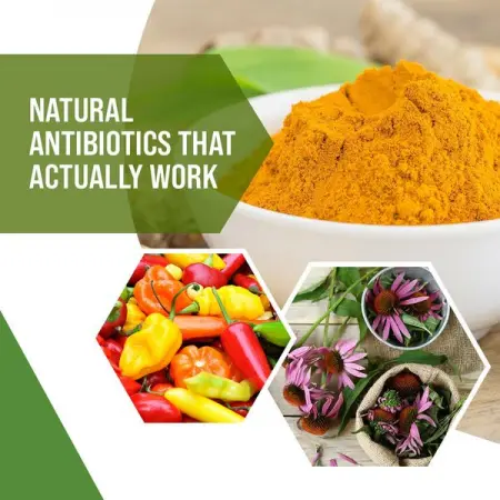 Natural Antibiotics That Actually Work
MEDICAL-NEWS.ORG
Natural Antibiotics That Actually 