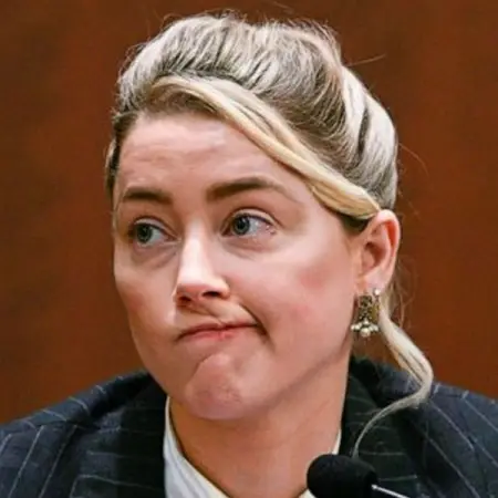 Johnny Depps ex-wife, Amber Heard, was diagnosed with 2 personality disord