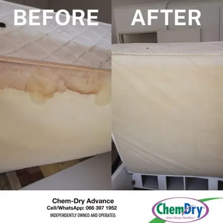 Your DRIER. CLEANER. HEALTHIER. Choice for Professional Carpet, Upholstery, Tile and Curt