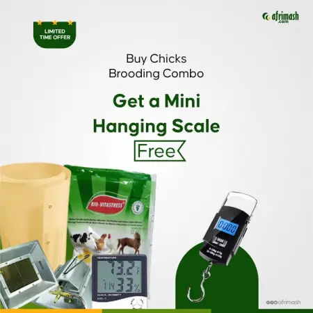 AFRIMASH.COM
Place your order today. We deliver nationwide!
Our chick guard is of