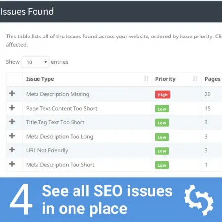 View all SEO issues and rank them by priority
Looking for the best SEO 