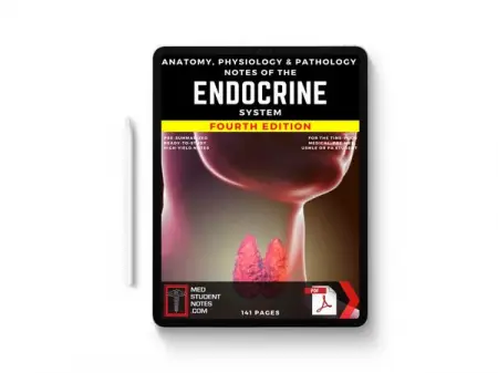 MEDSTUDENTNOTES.COM
Streamline Your Revision
Shop Now
 