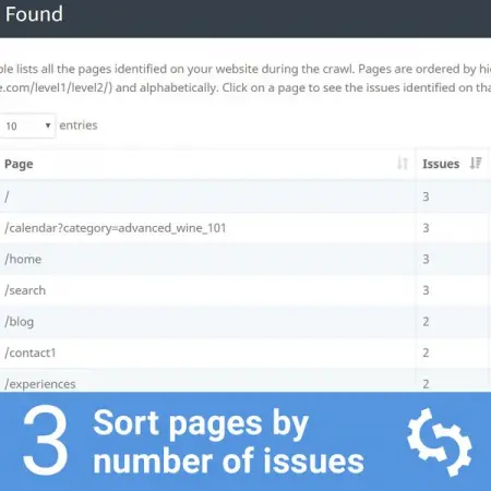 View pages with the most SEO issues
Looking for the best SEO Audit Tool to analyze 