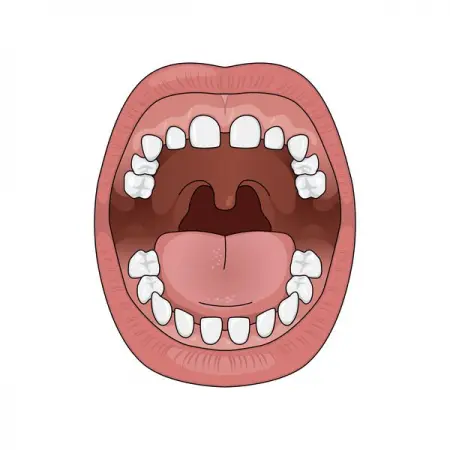 MINDTHEGRAPH.COMODONTOLOGY
Mouth Child Front
Learn More
 